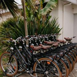 Marty Bike Rental