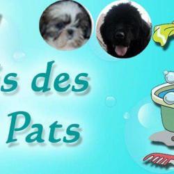 Mary "au Paradis 4 Pats"