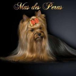 Mas Des Peras