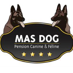 Mas Dog