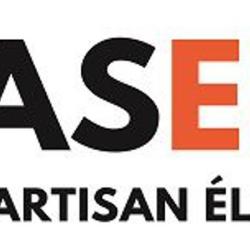 Maselec