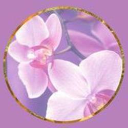 Massage Chinois Et Soins énergétiques
