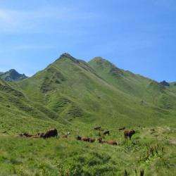 Massif Du Sancy