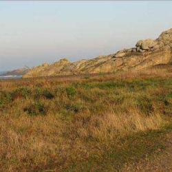 Massif Dunaire De Gâvres Quiberon