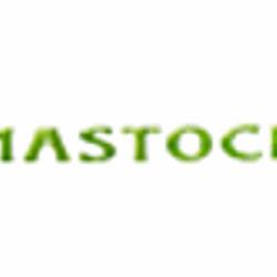 Mastock