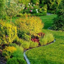 Matoury Espaces Verts