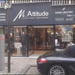 M.attitude