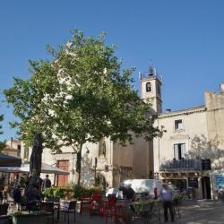 Mauguio