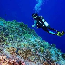 Maupiti Diving