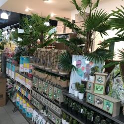 Maxi Bazar