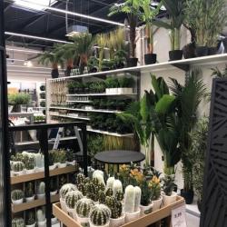 Maxi Bazar