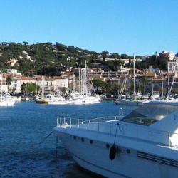 Maxim' Boats