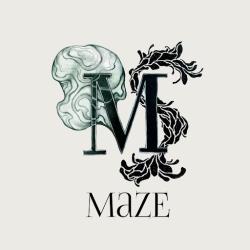 Maze - Bar à Cocktails Montorgueil