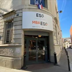 Mba Esg