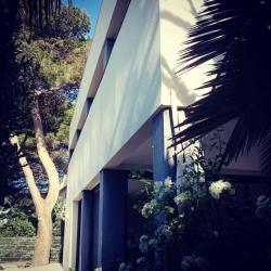 Mbo Architecture