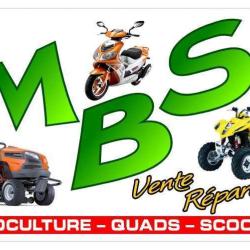 Mbs
