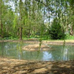 Mce - Mulder Creation Environnement