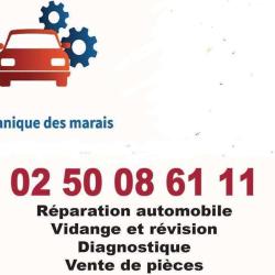 Mécanique Des Marais