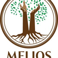 Melios Epargne Conseil