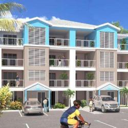 Menhir Immobilier Franchise