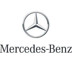 Mercedes Benz Lyon Cd Succursale