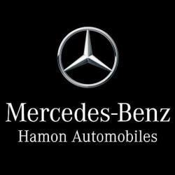 Mercedes-benz Cobredia - Saint-brieuc