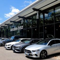 Mercedes Etoile Automobilej.ravon