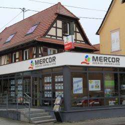 Mercor Agence Immobilière