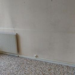Merlier Peinture 38