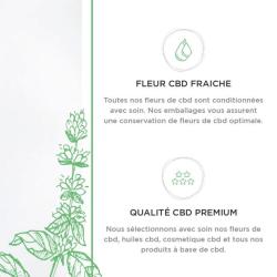 Merry's Cbd - Magasin Cbd Fleurs Tisanes Huiles Cosmétiques - Nantes