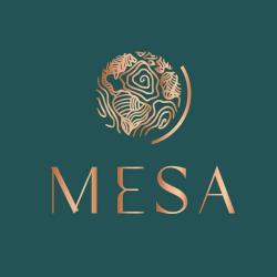 Mesa Lille