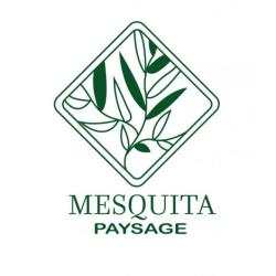 Mesquita Paysage