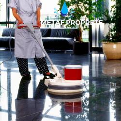 Metaf Proprete Et Services Associes (mpsa)