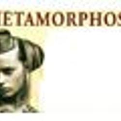Metamorphose Totale Tendance