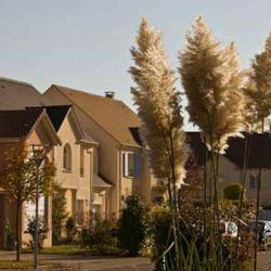 Meteo Immobilier