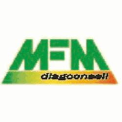 Mfm Diag Conseil