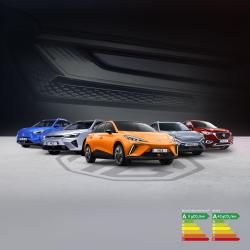 Mg Motor Mamoudzou - Groupe Caillé