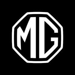 Mg Motor Meaux - Groupe Amplitude