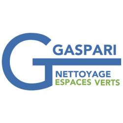 Michel Gaspari