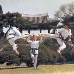 Taekwondo-itf