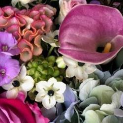 Michèle Fleurs