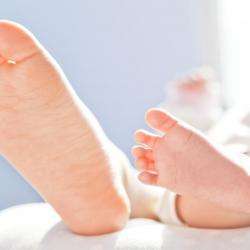 Michelin Sandrine