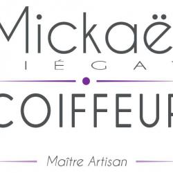 Mickaël Piegay Coiffeur