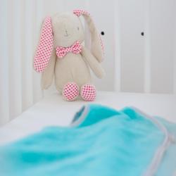 Micro-crèche Câlins Doudou
