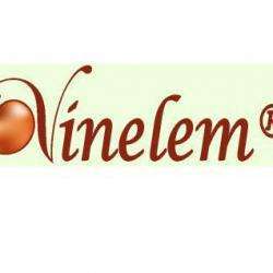 Micro Entreprise Vinelem