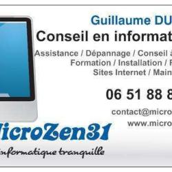 Microzen31