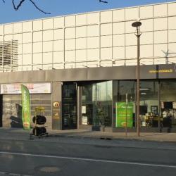 Midas Mantes