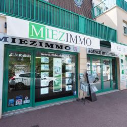 Miezimmo