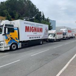 Mignani