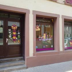 Millepatte Strasbourg